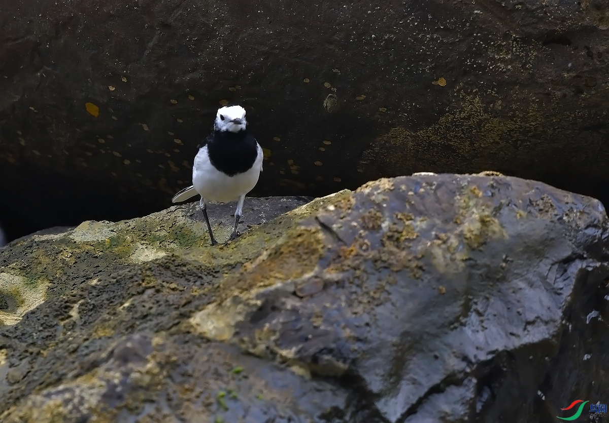 DSC_0800.JPG