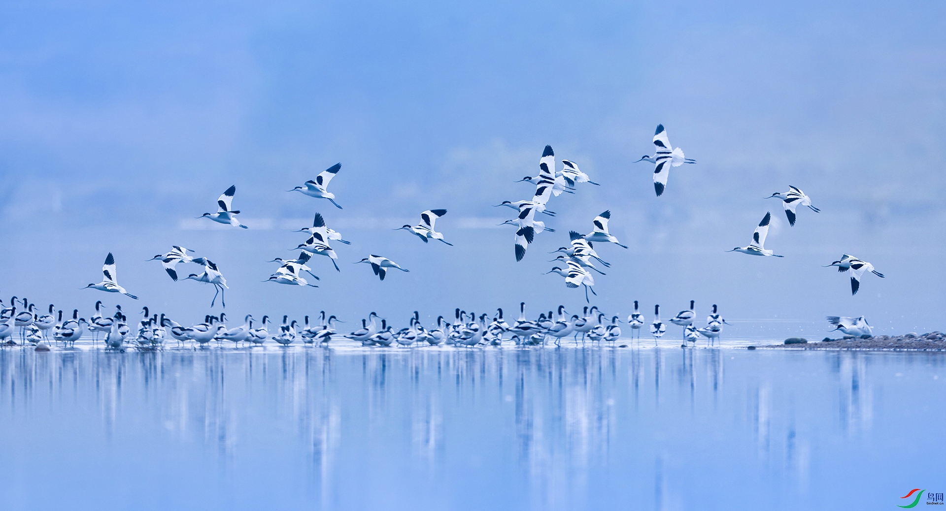 ����083A8268.jpg