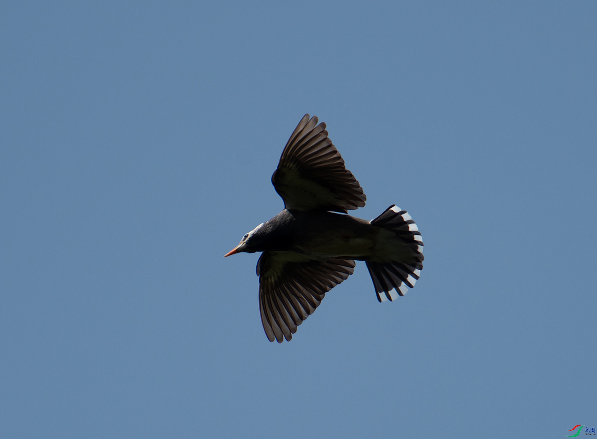 _DSC0905--15.jpg