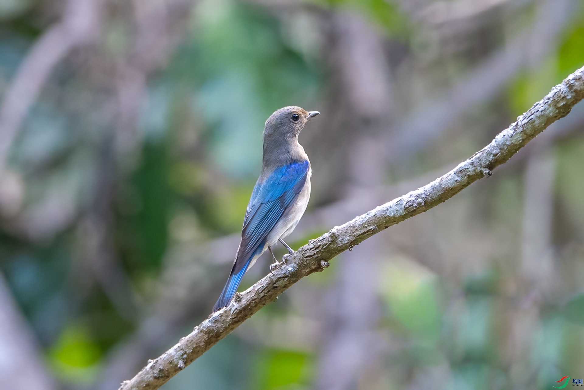 DSC_3537.jpg