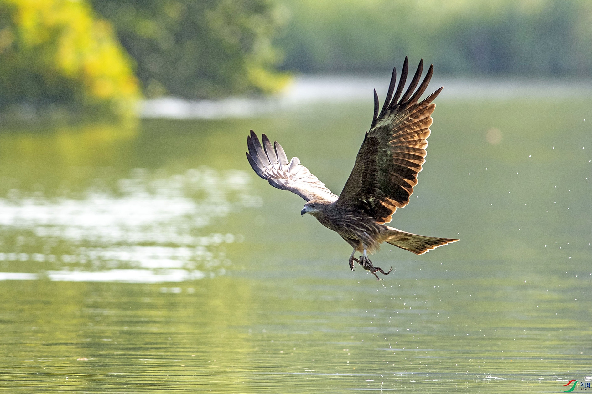 YFJ_7650 ����.jpg