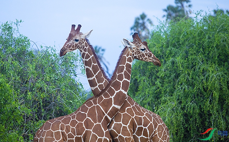 ����¹ (2).jpg