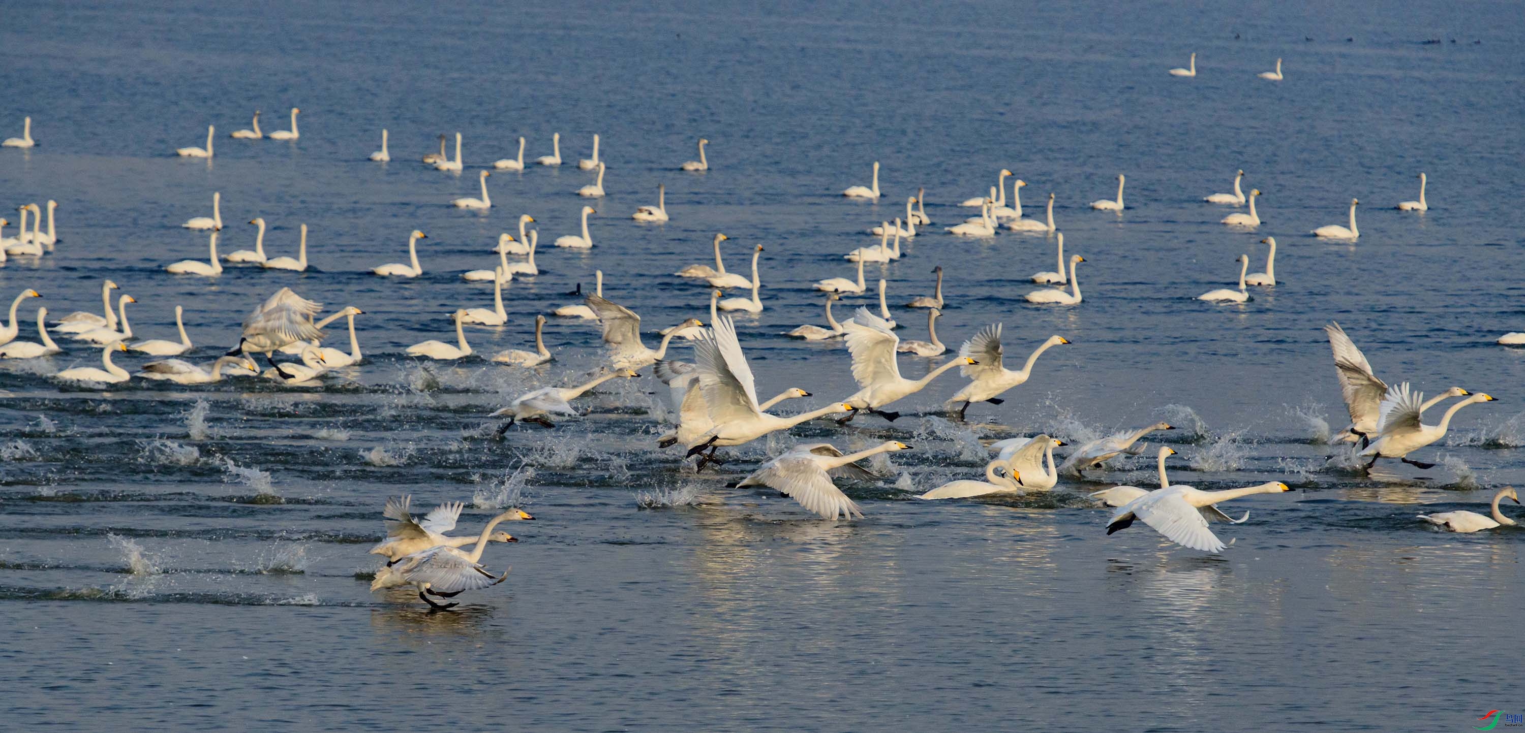 DSC_1717.jpg