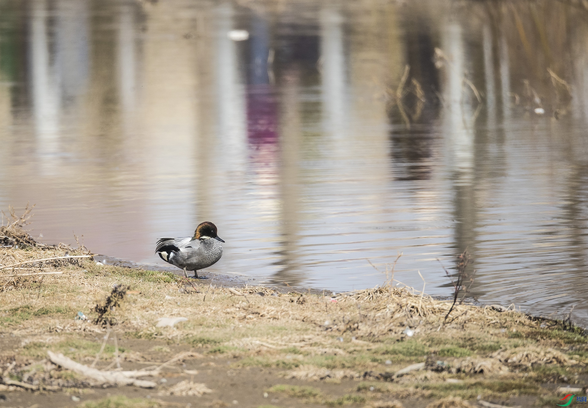 file0016141-2.jpg