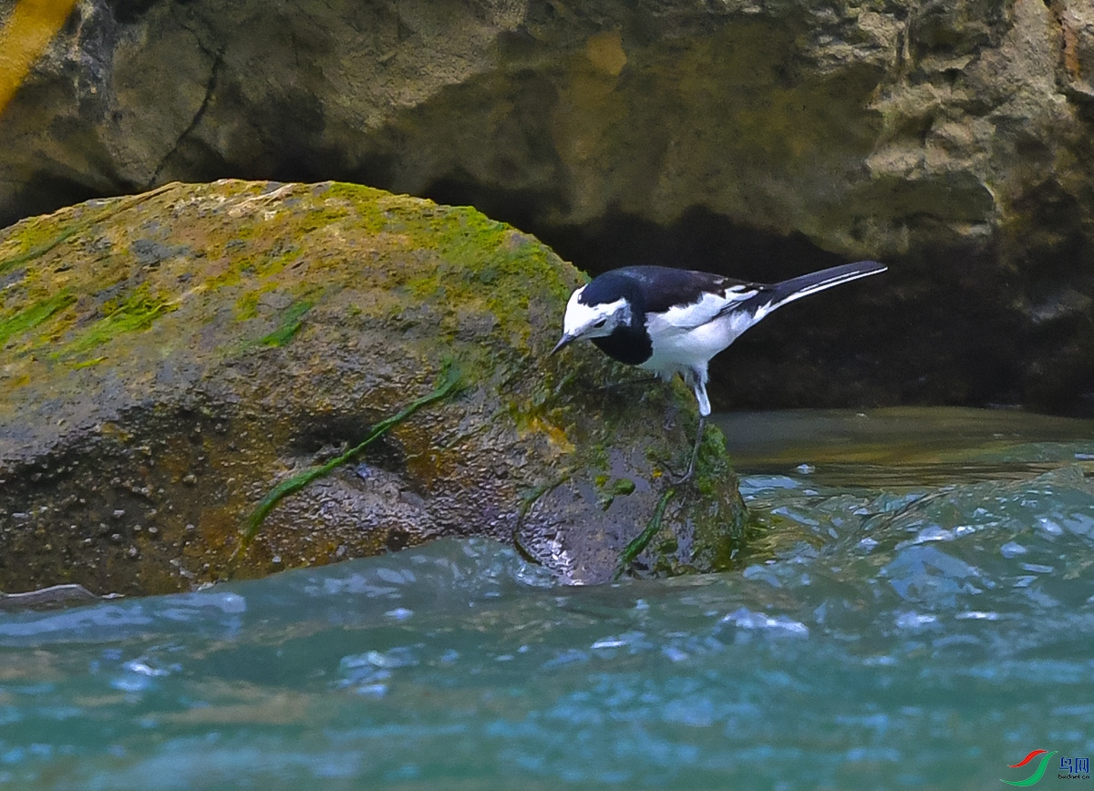 DSC_0667.JPG