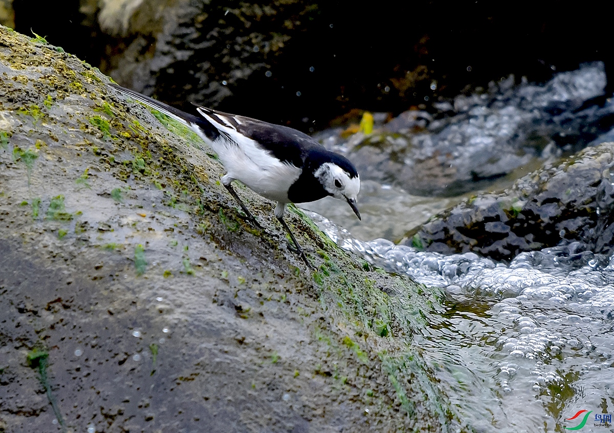 DSC_0740.JPG