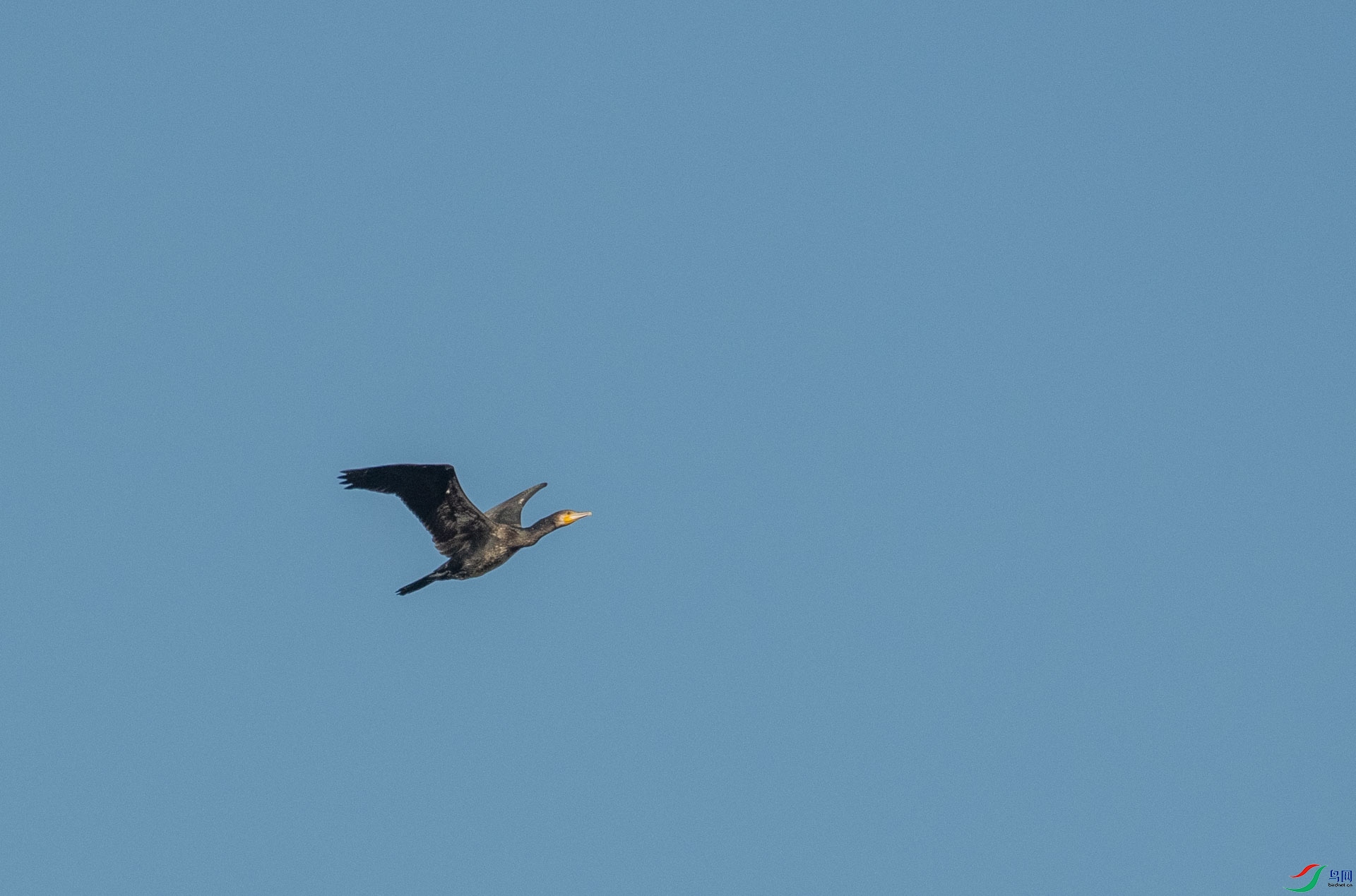 DSC_3057.jpg