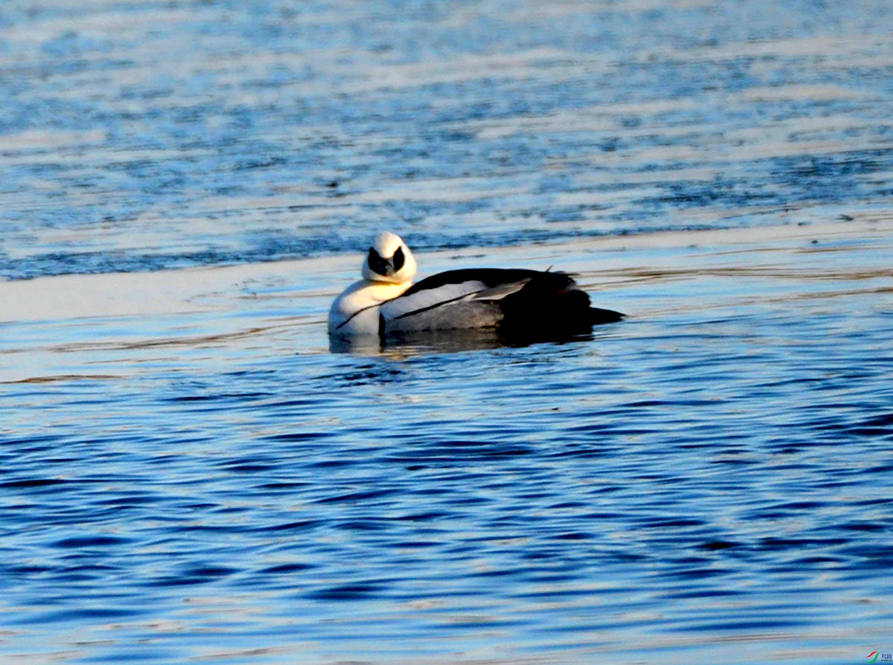 DSC_4017.JPG