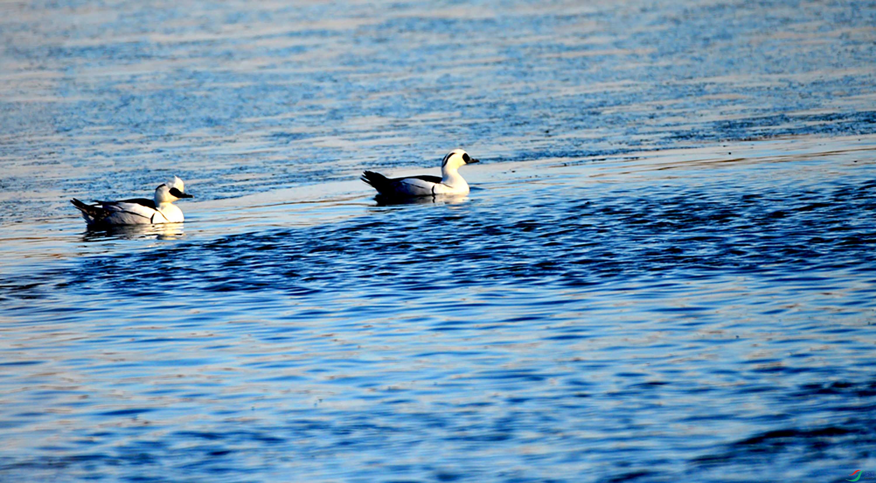 DSC_4032.JPG