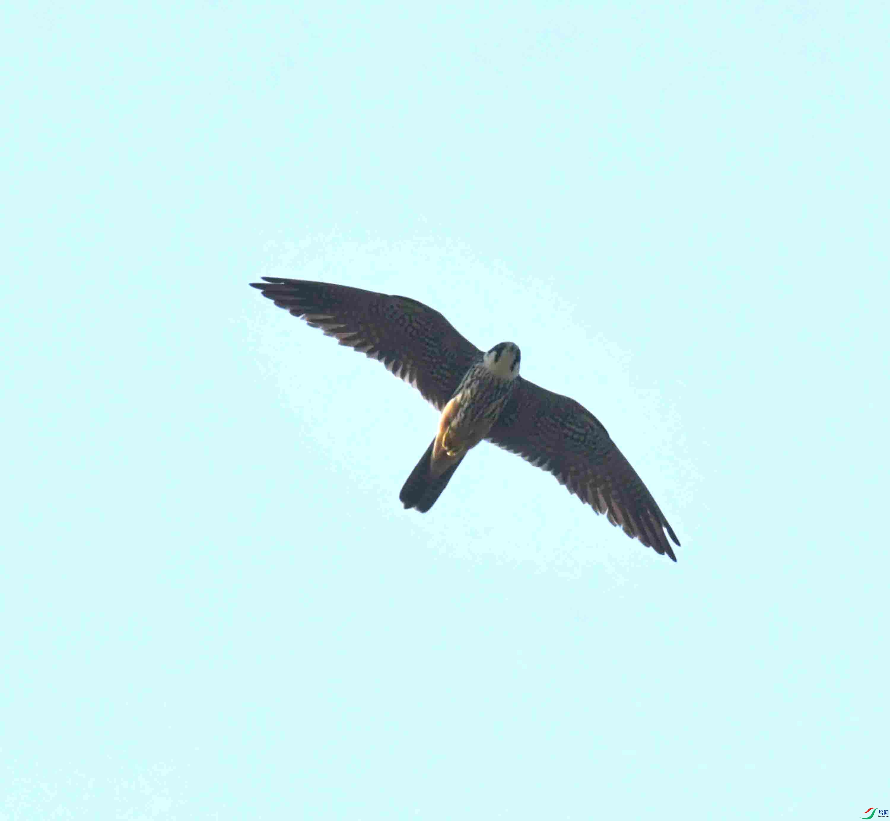 DSC_7891.JPG
