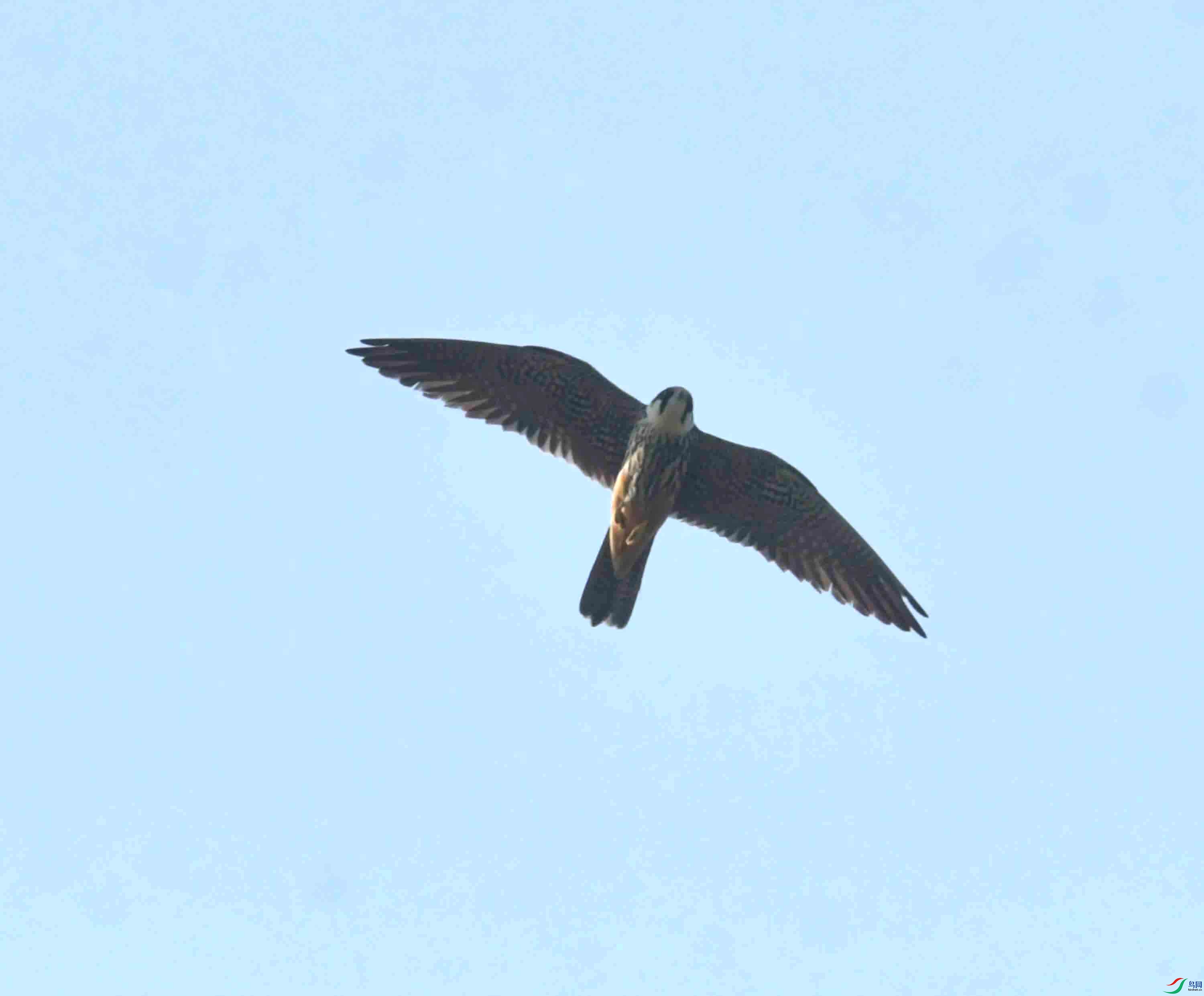 DSC_7889.JPG