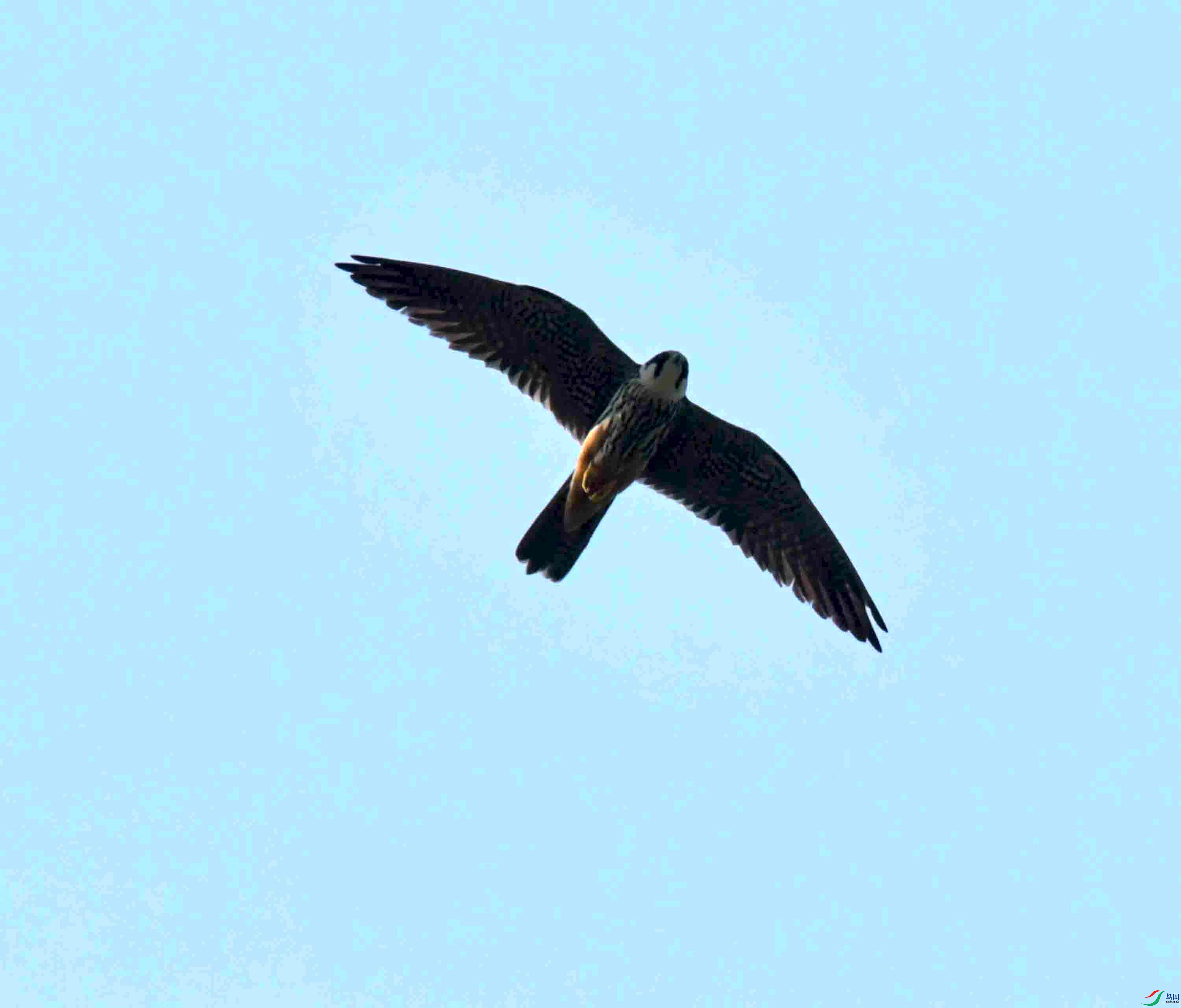 DSC_7892.JPG