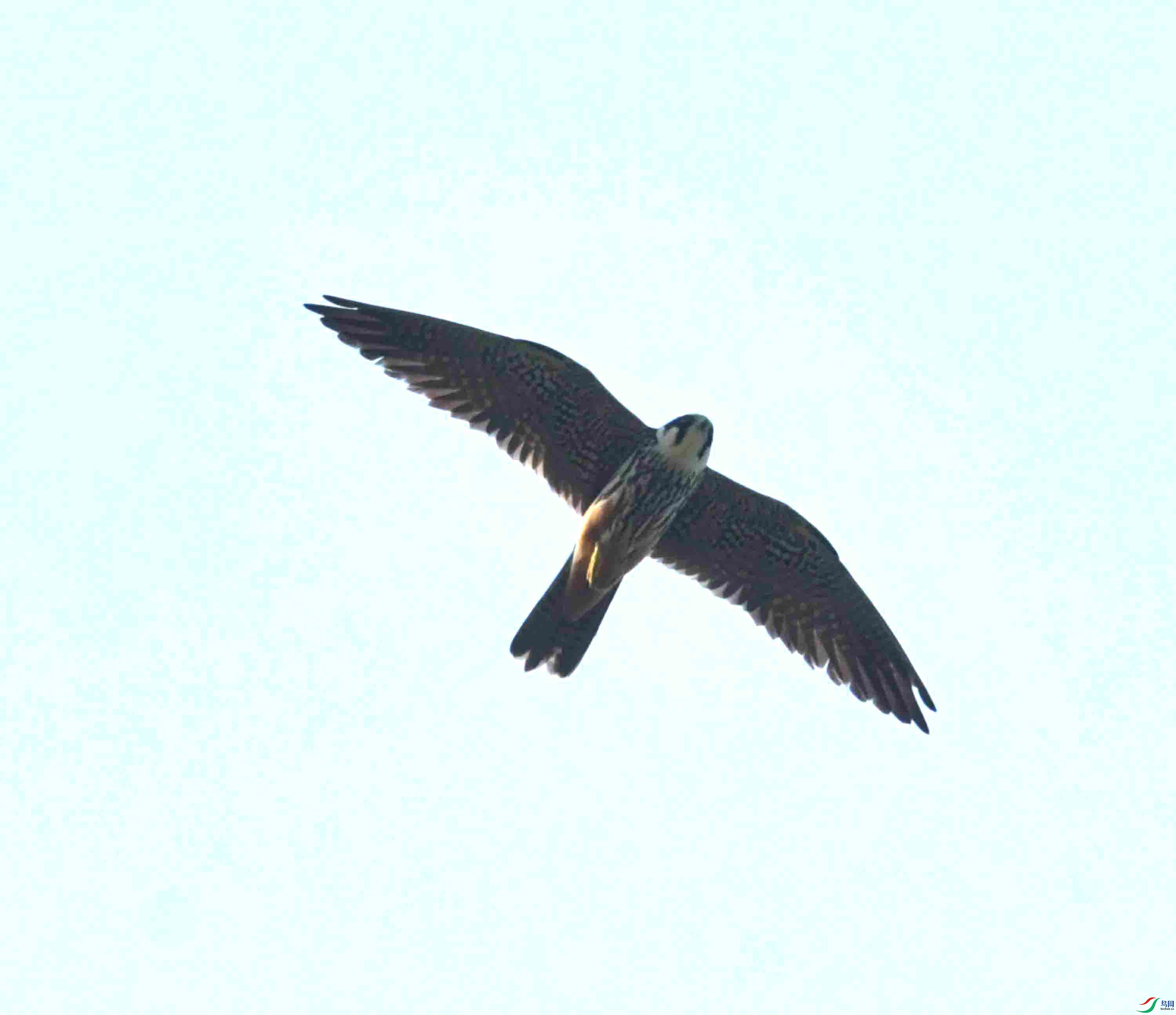 DSC_7893.JPG