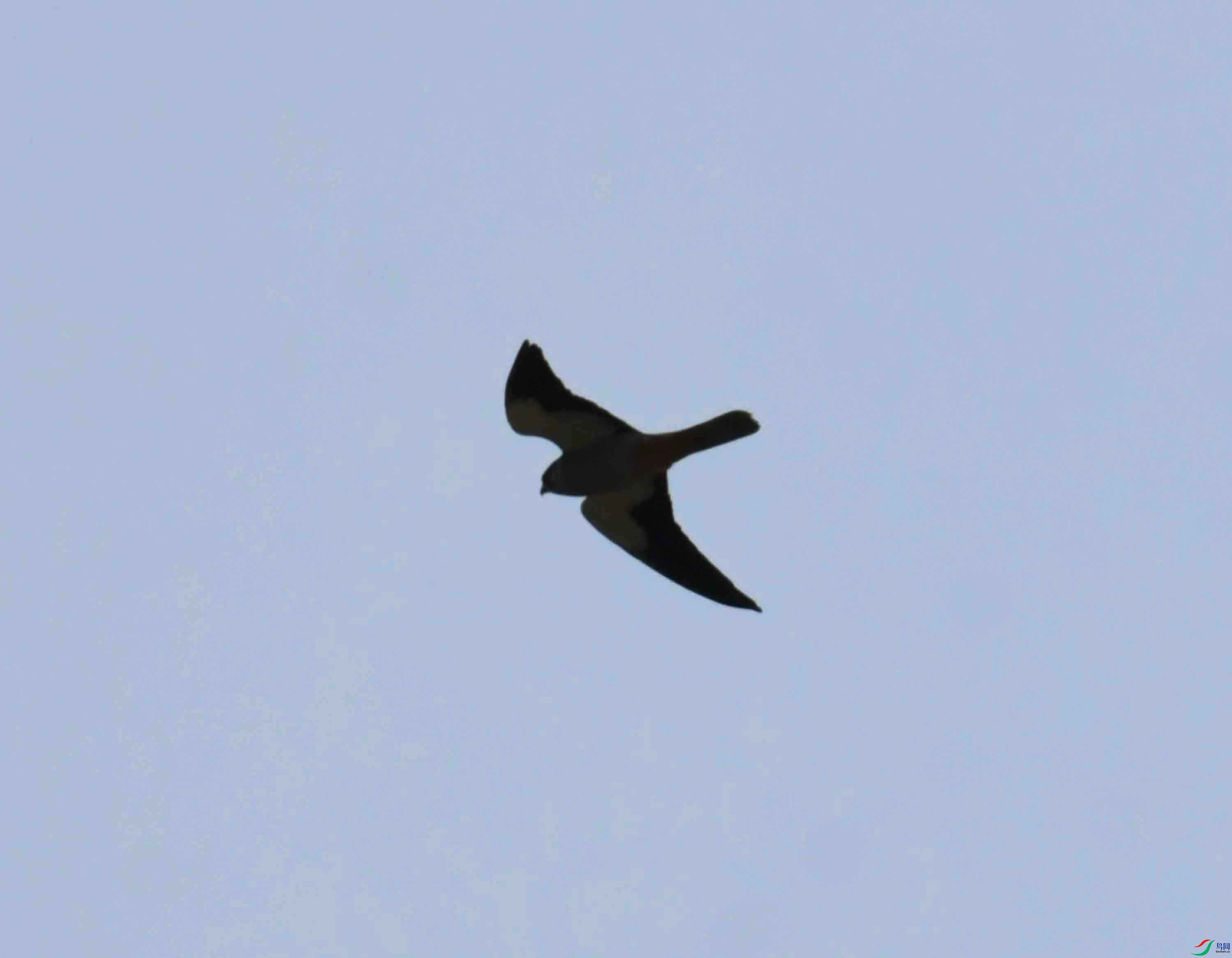 DSC_8901.JPG
