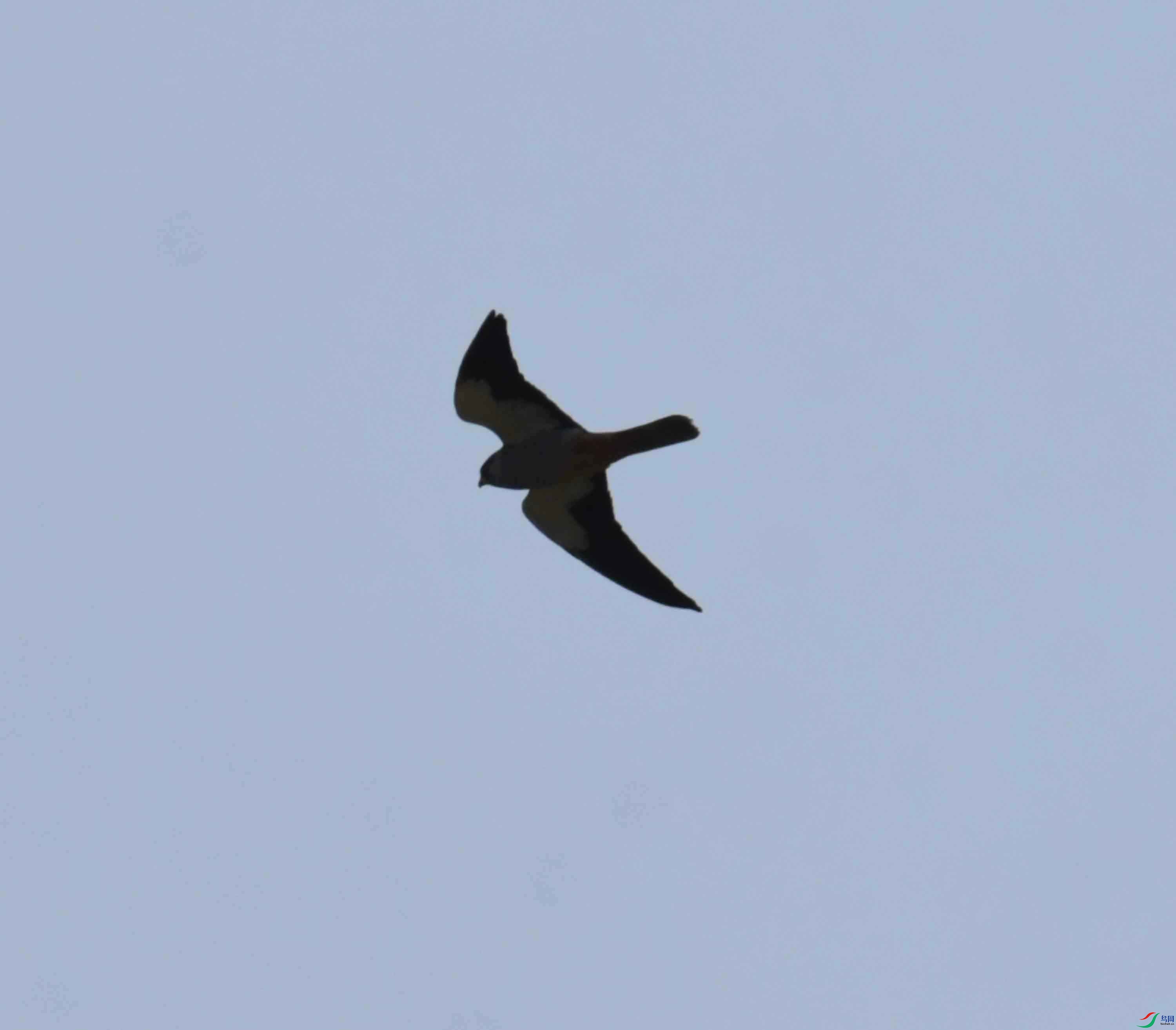 DSC_8900.JPG