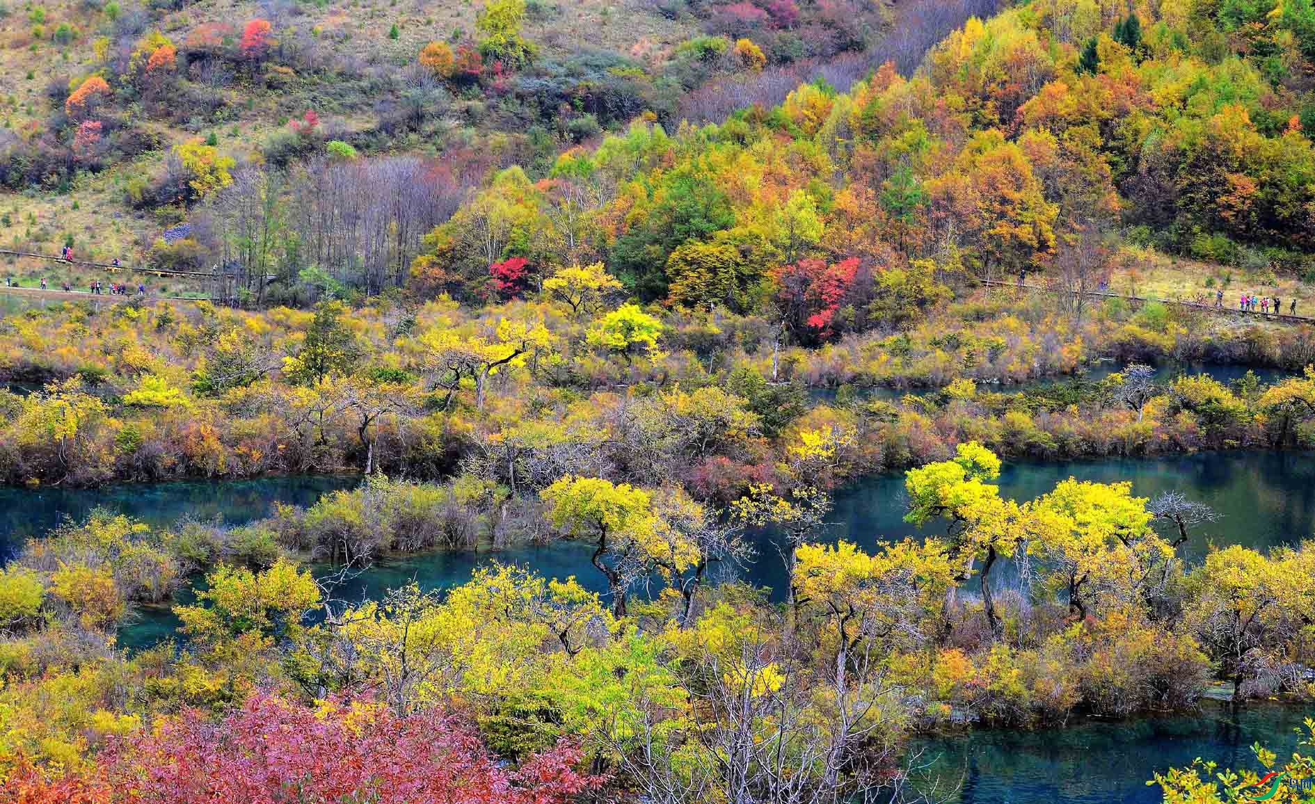 ��կ�� 391.jpg