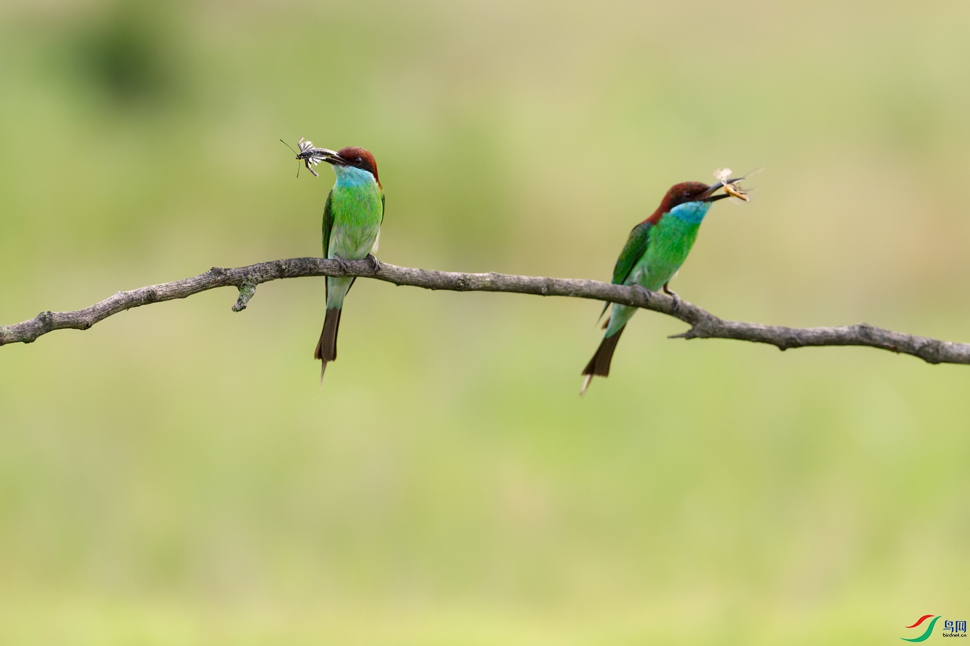 DSC_9295_DxOa.jpg