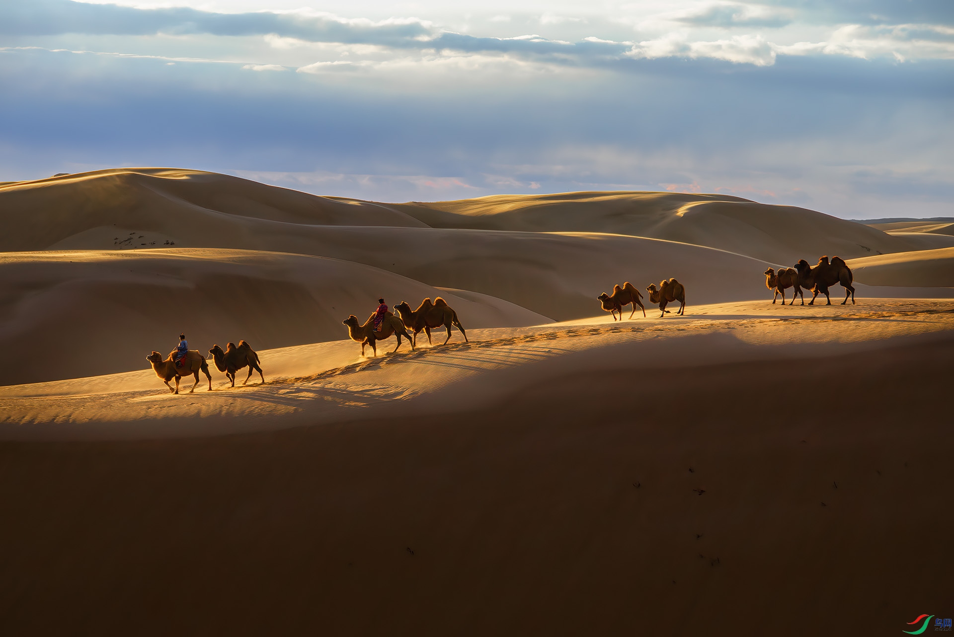 _DSC1369-NEF_DxO_DeepPRIME - �н���Į��.jpg