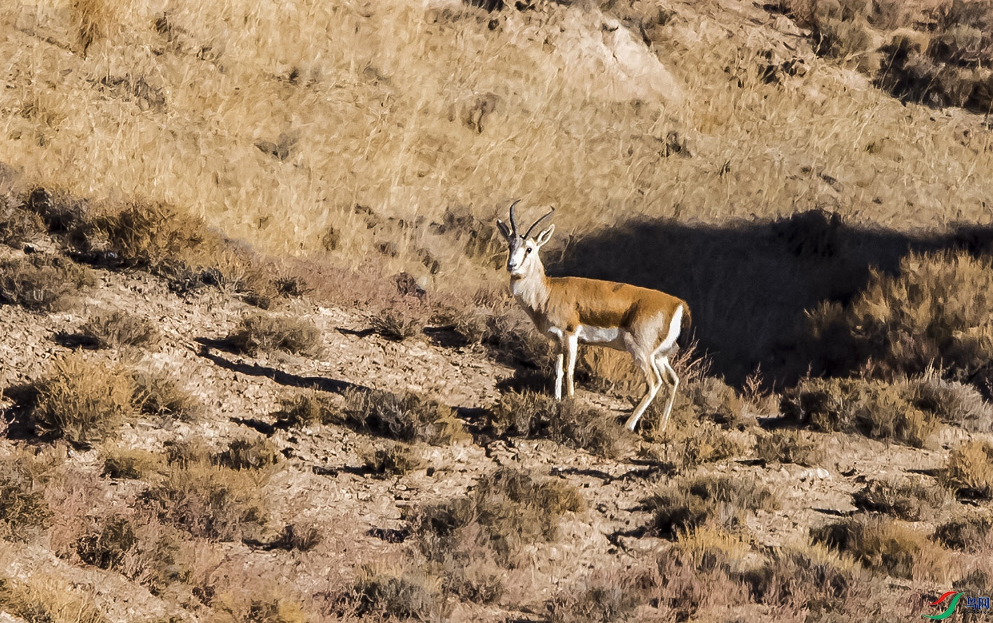 _DSC8725.tif-2.jpg