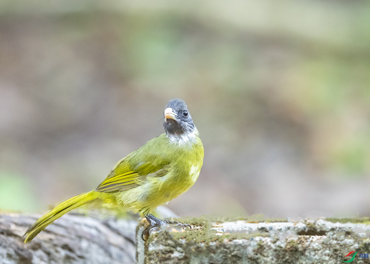 5335 ���� 2-1.jpg