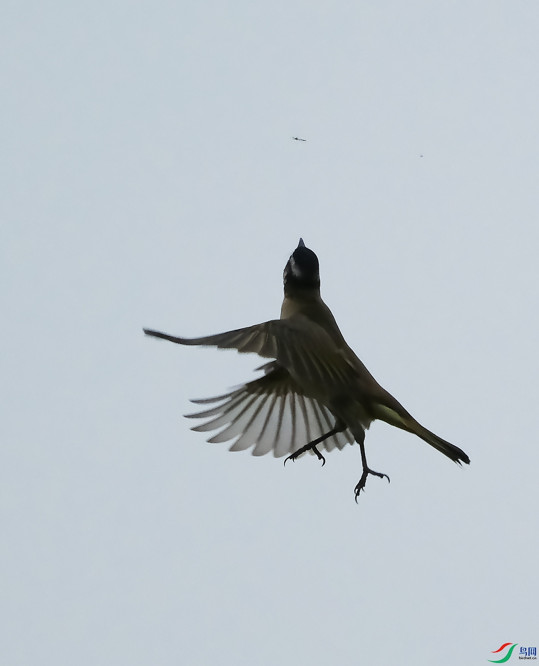 DSCF6056.JPG