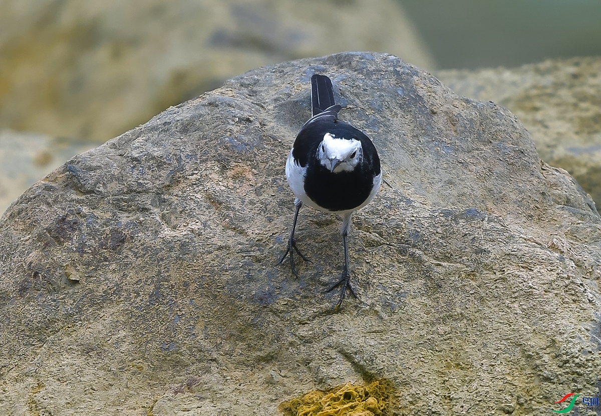 DSC_0758.JPG