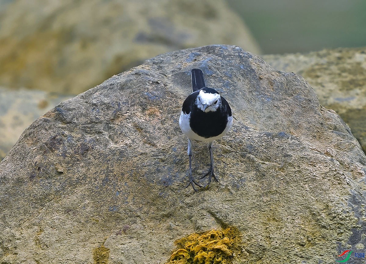 DSC_0759.JPG