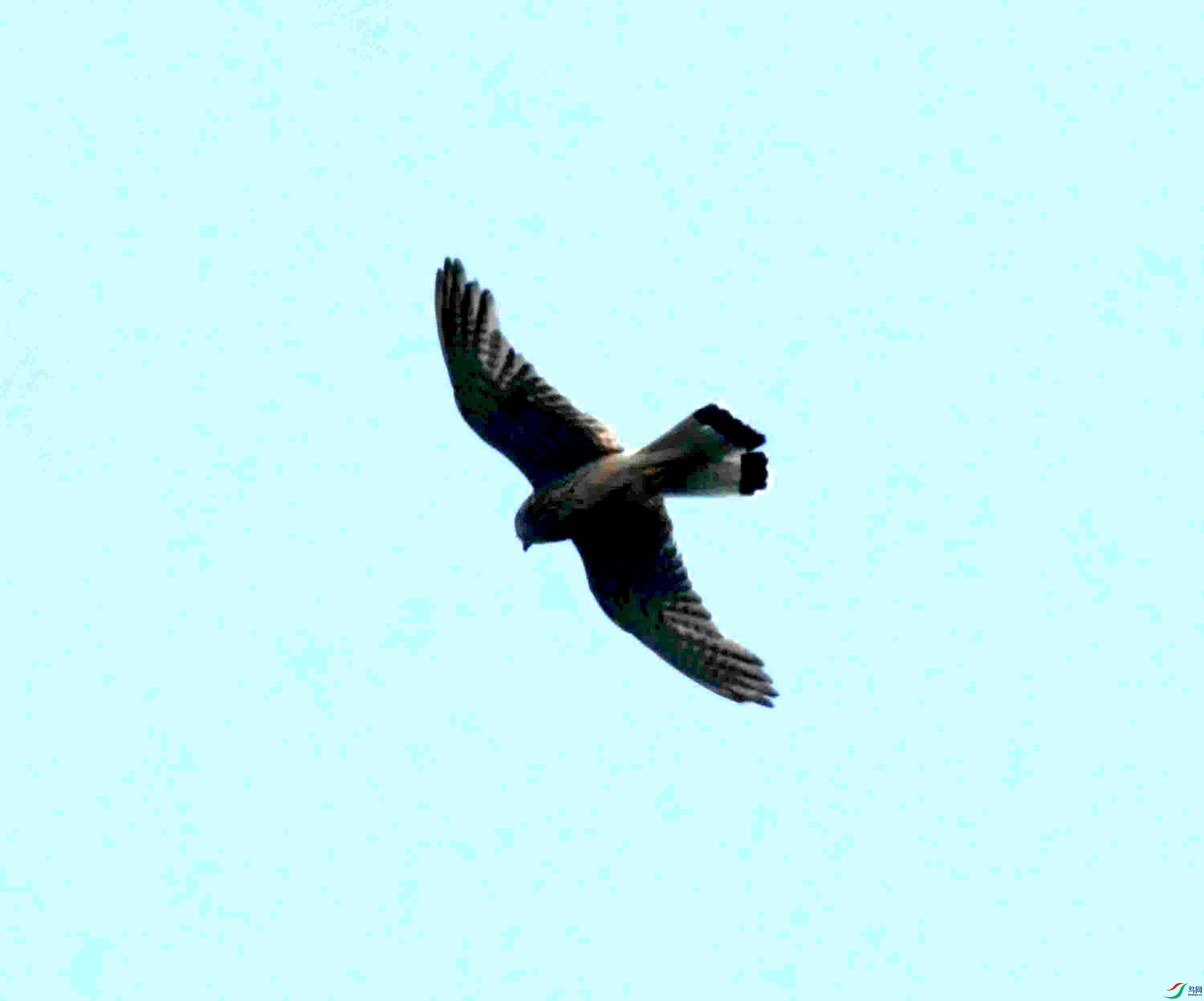 DSC_0610.JPG