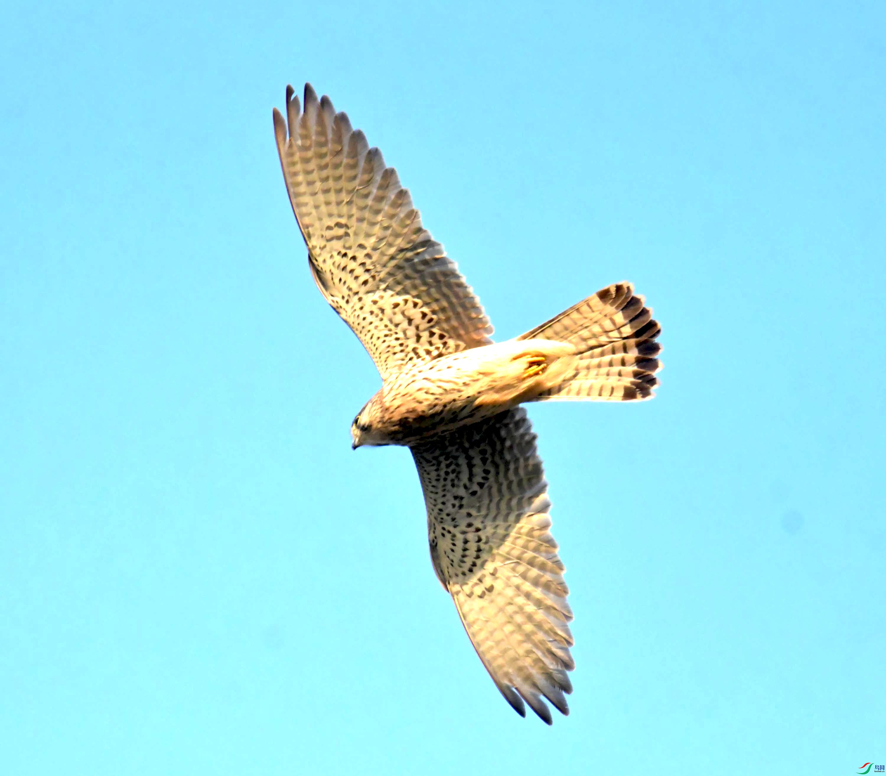 DSC_0712.JPG