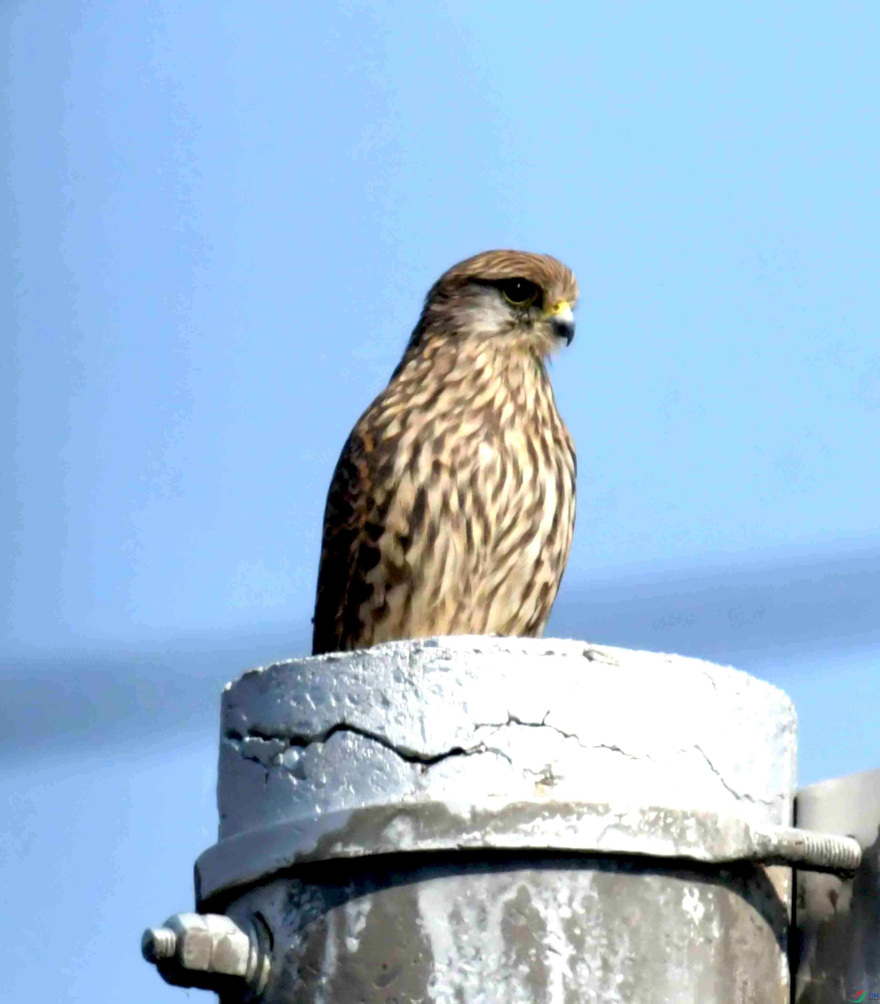 DSC_0888.JPG