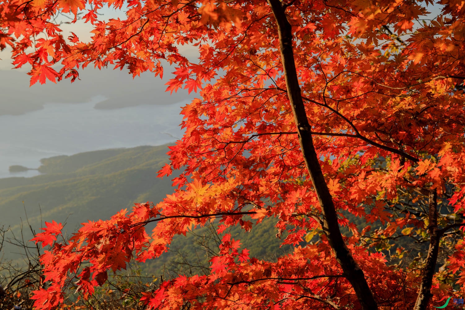 106A4978 ����.jpg