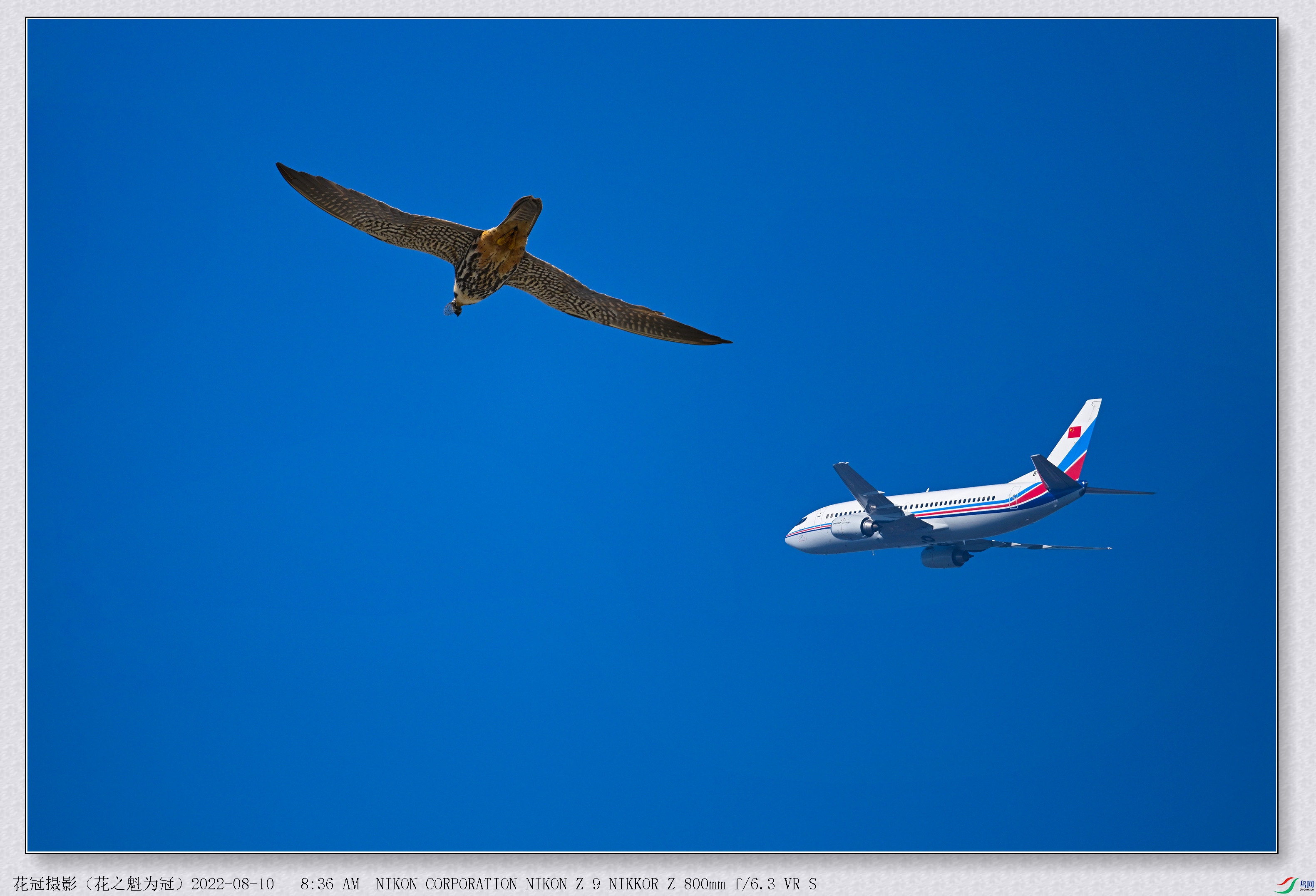 DSC_7165��7377�ϳ�B-1_����.jpg