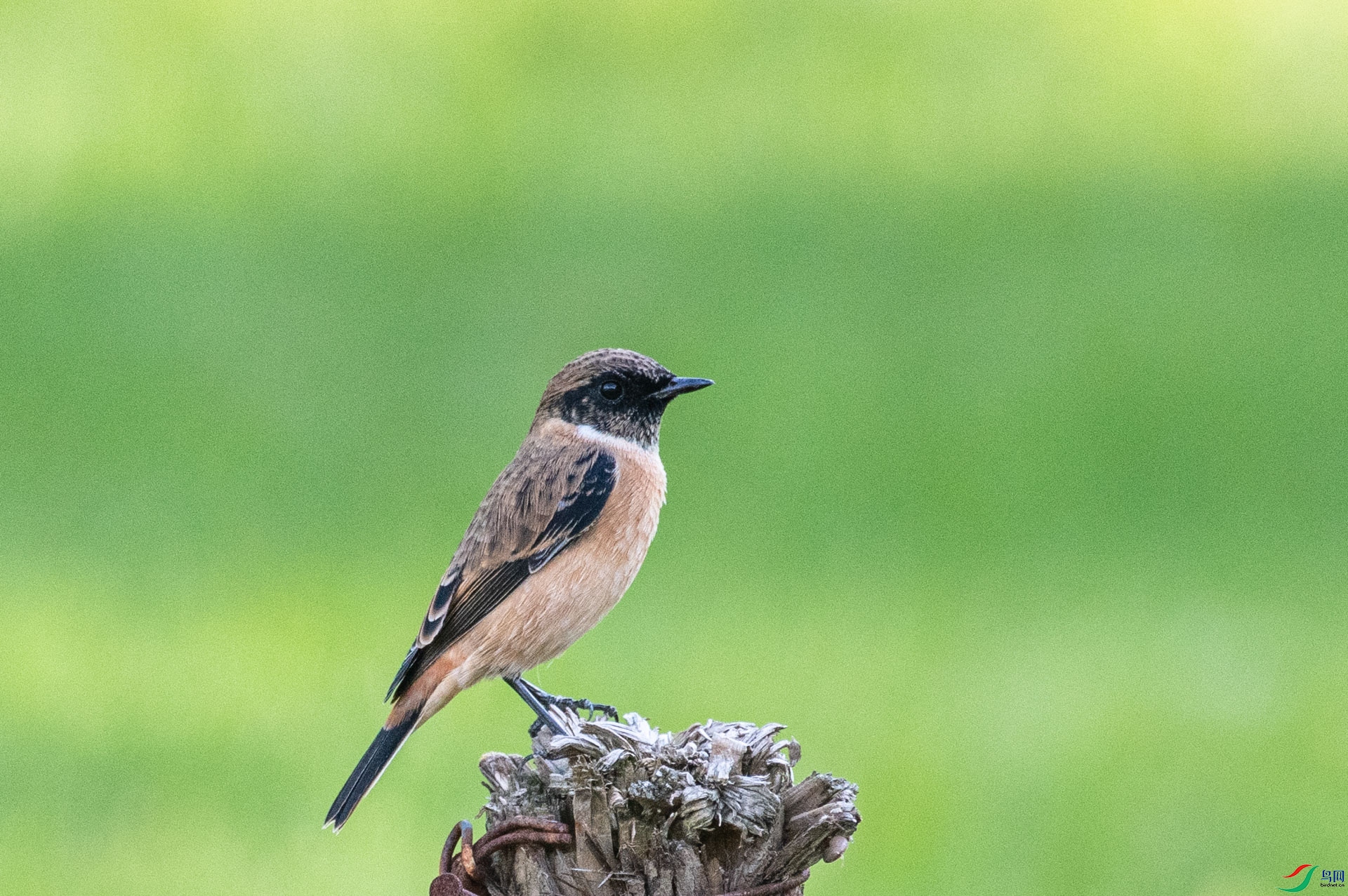 DSC_5112.jpg