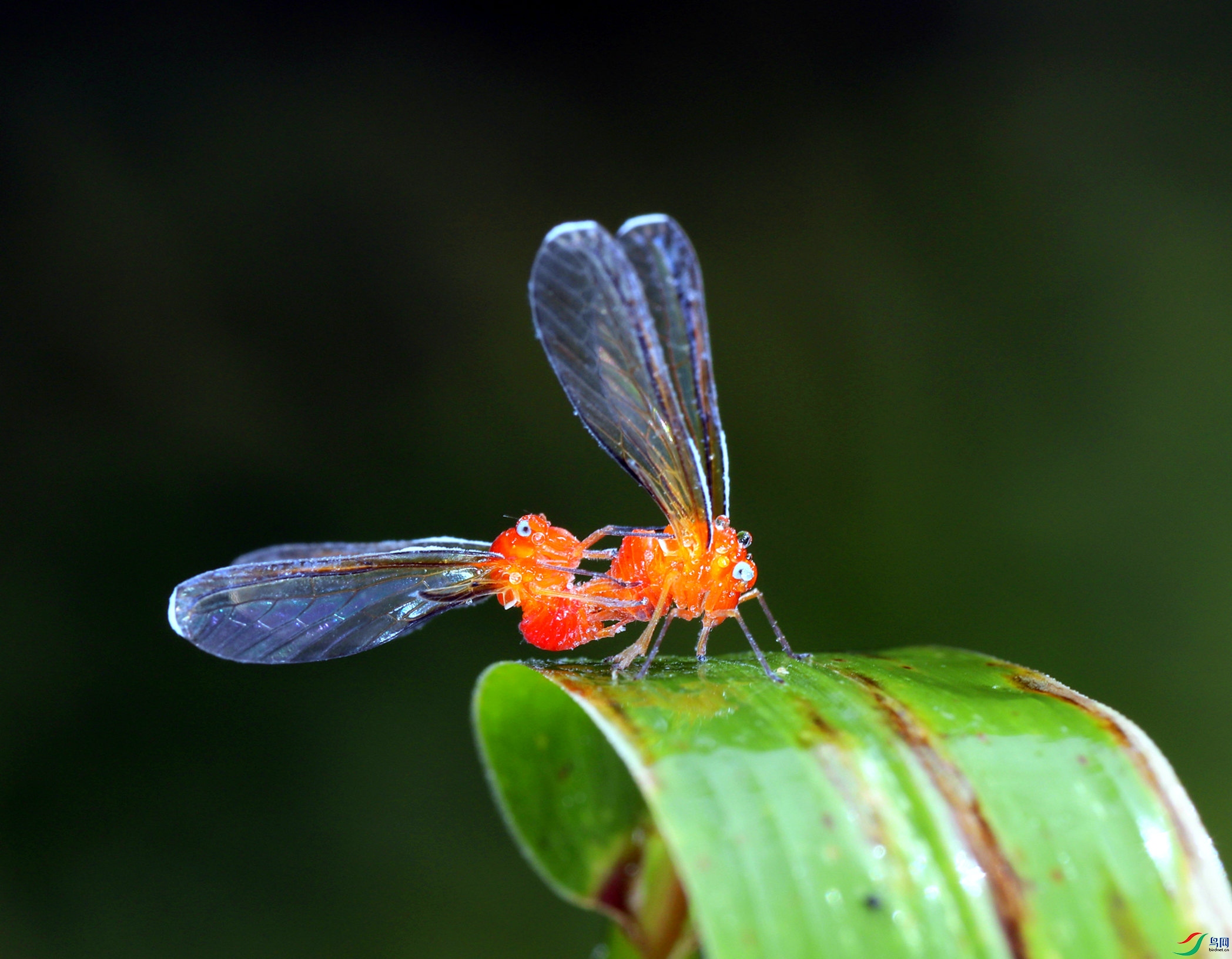EC6A1661_����_����.jpg