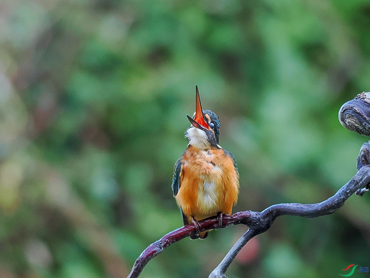 PB074613-2.jpg