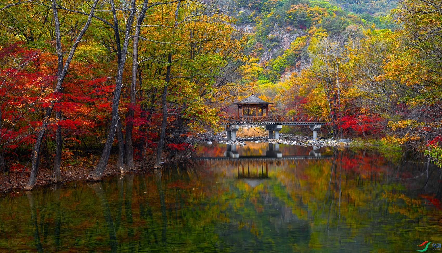 _DSC5768-NEF_DxO_D - eepPRIME-2.jpg