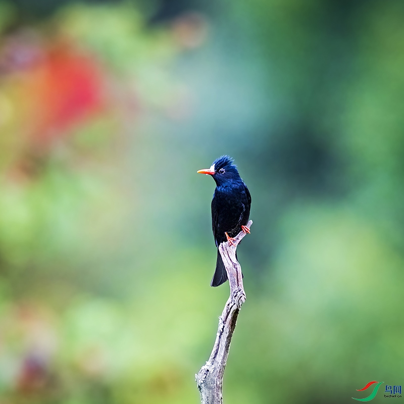 _L4I8814�ڶ̽���-��.jpg