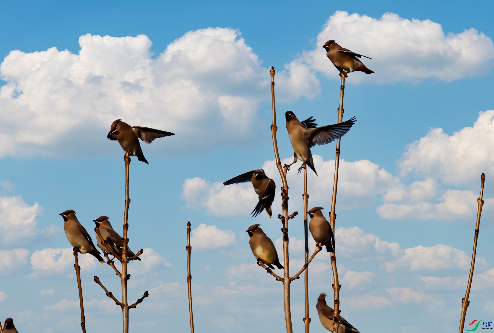 0K6A1660 ����.jpg