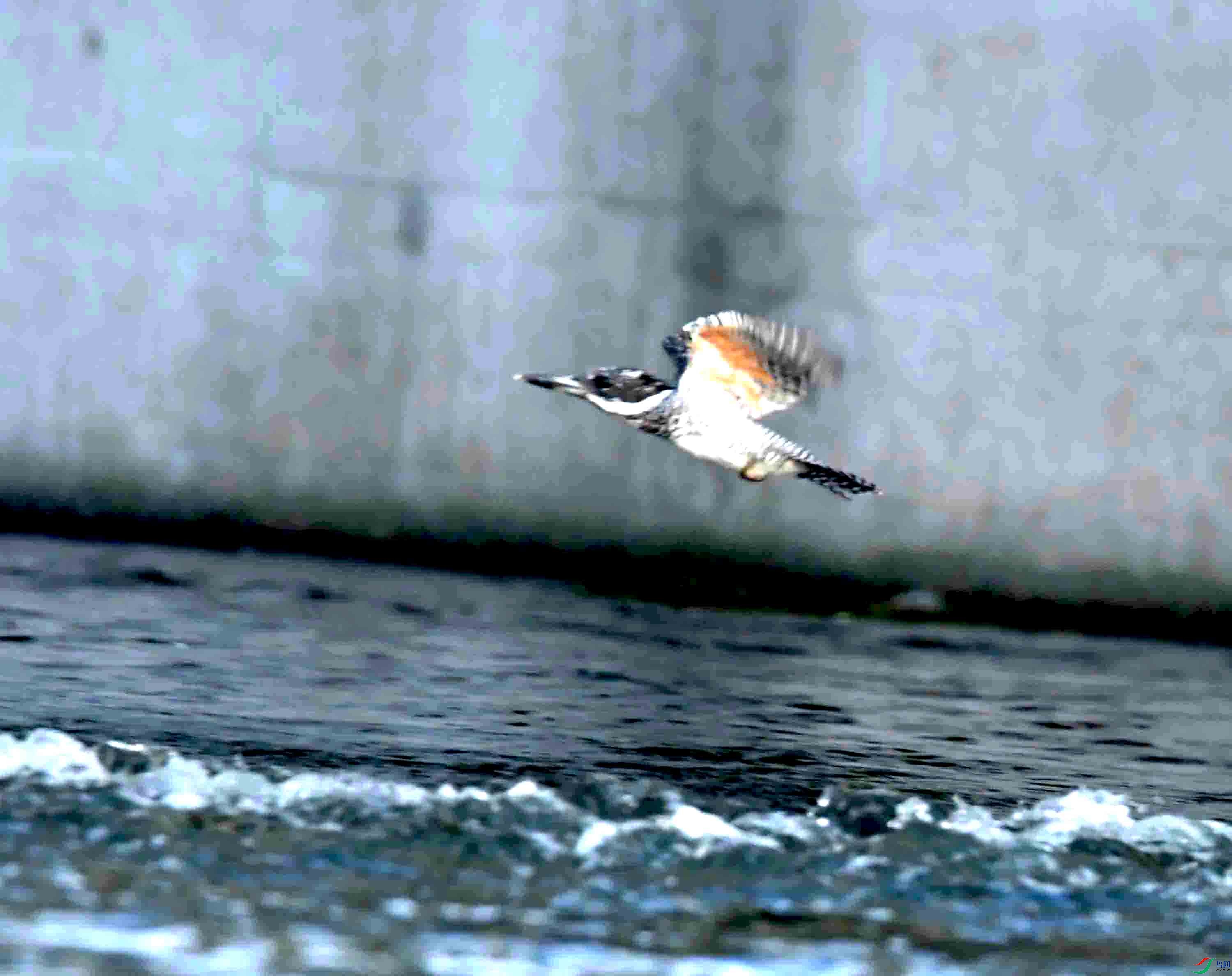 DSC_5430.JPG