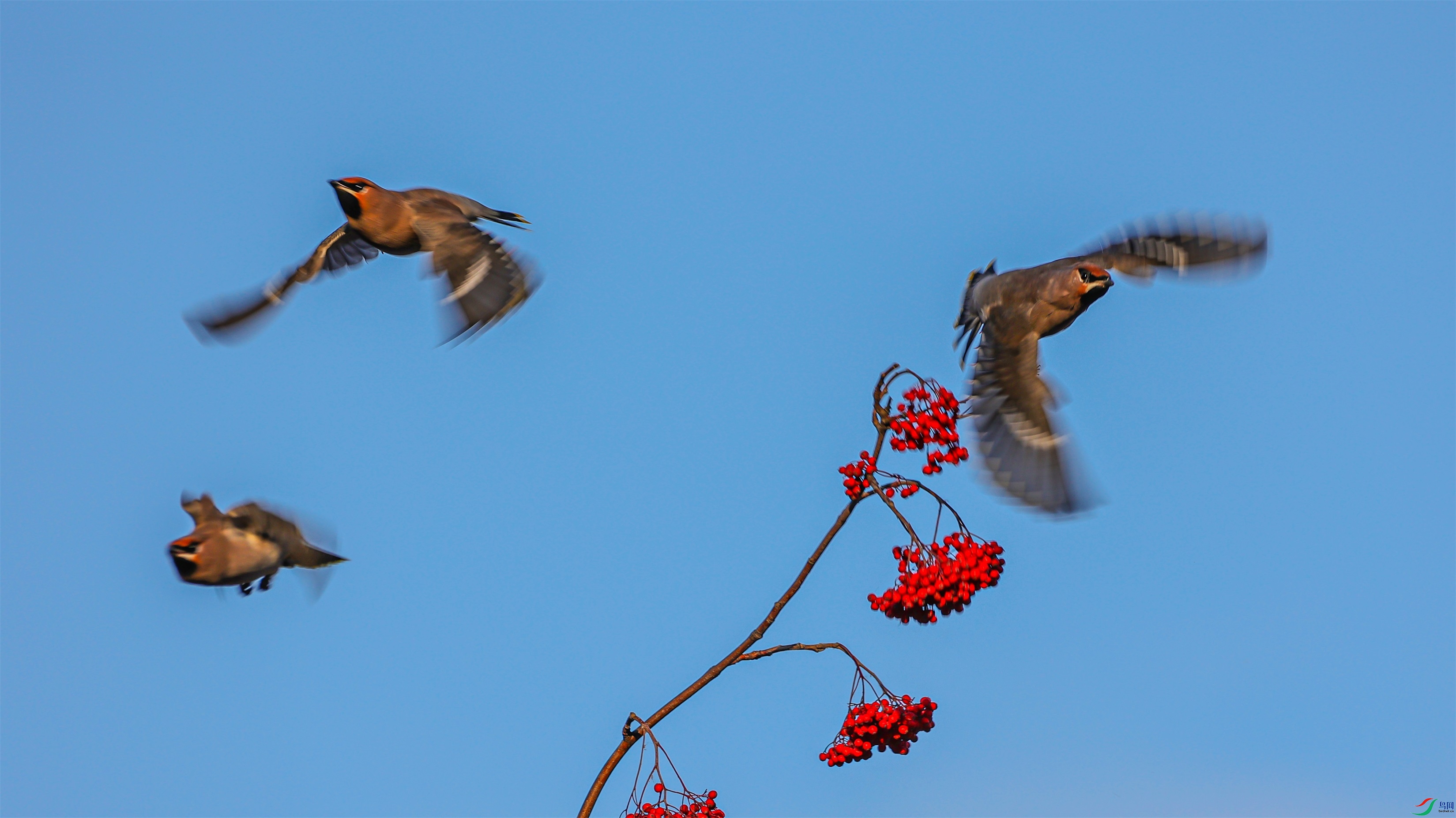 1K3A3030 ����1.jpg