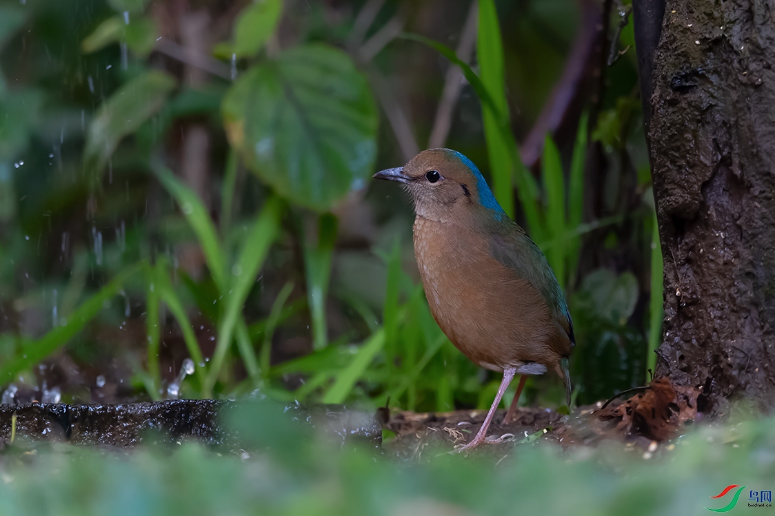 DSC_5397_DxOa.jpg