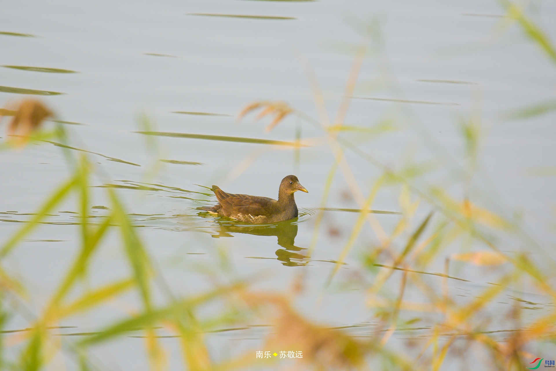 _DSC1502С.jpg