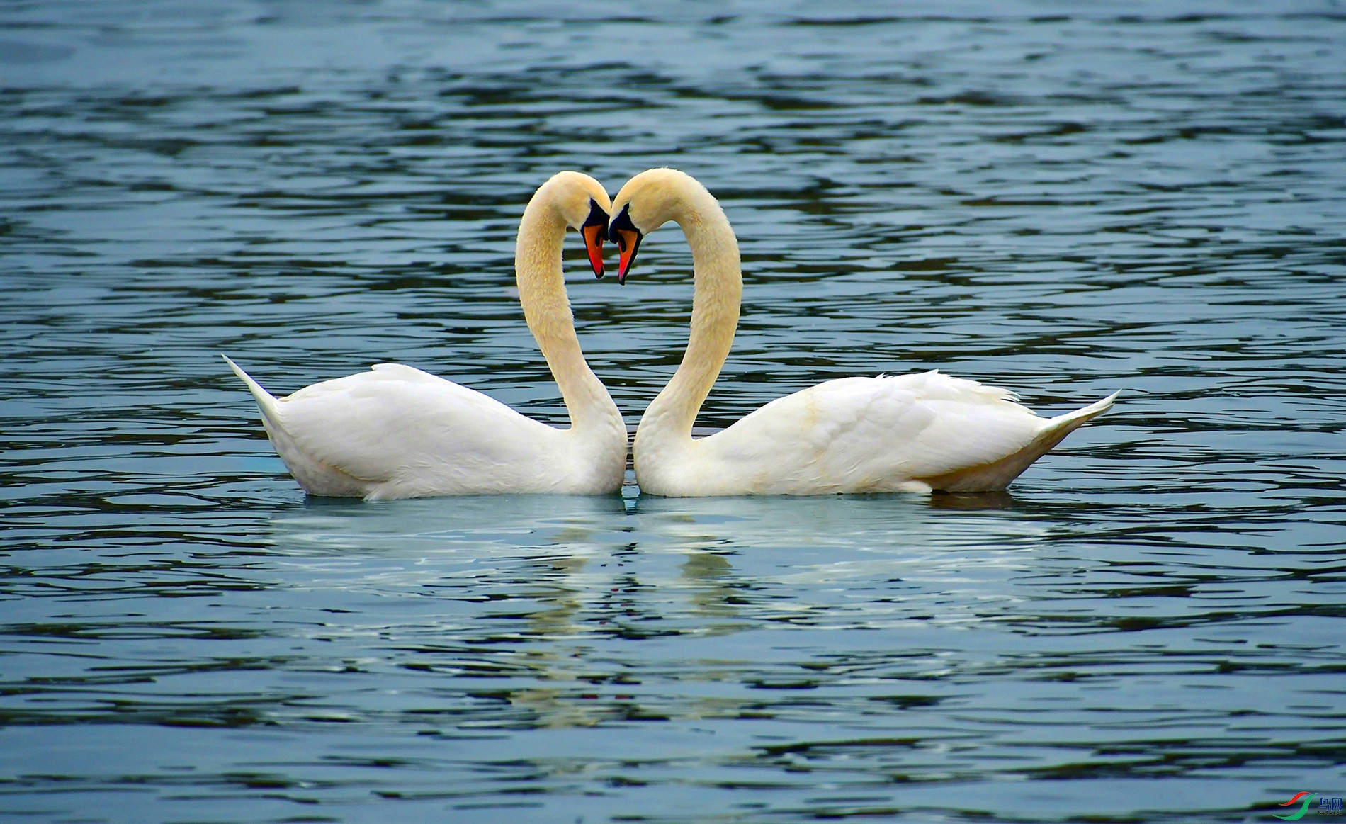 DSC_9611.JPG