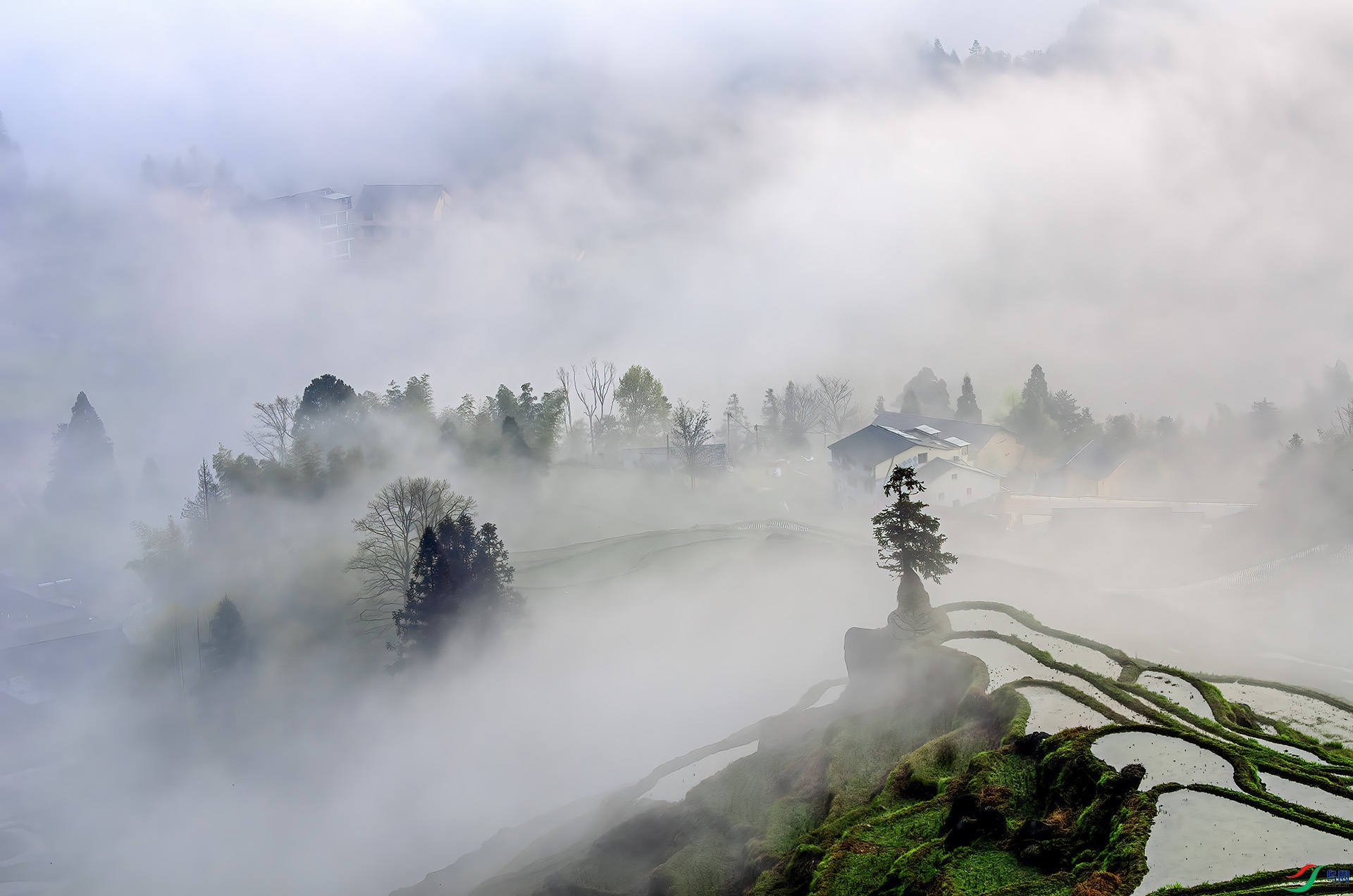 _DSC0339 - ��������.jpg