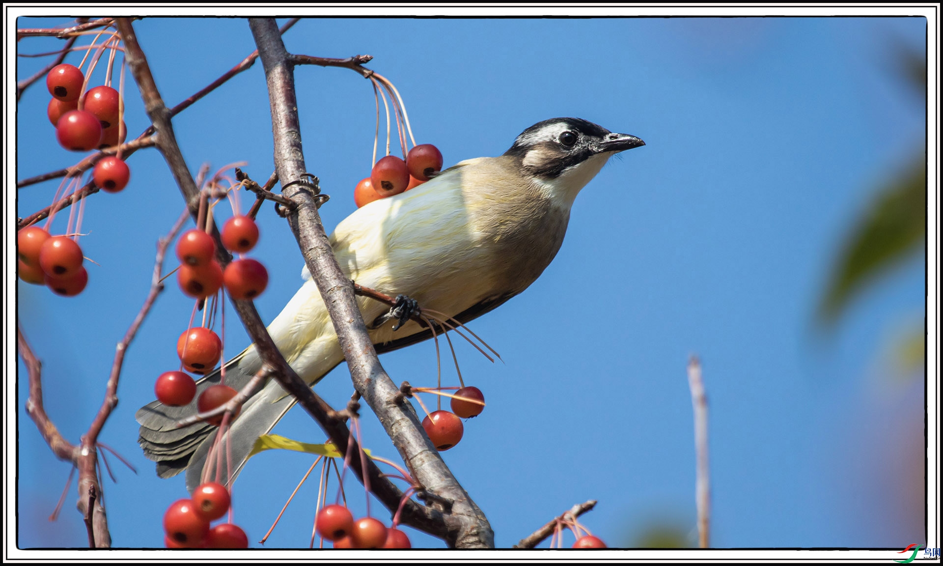 IMG_5923 ����.jpg