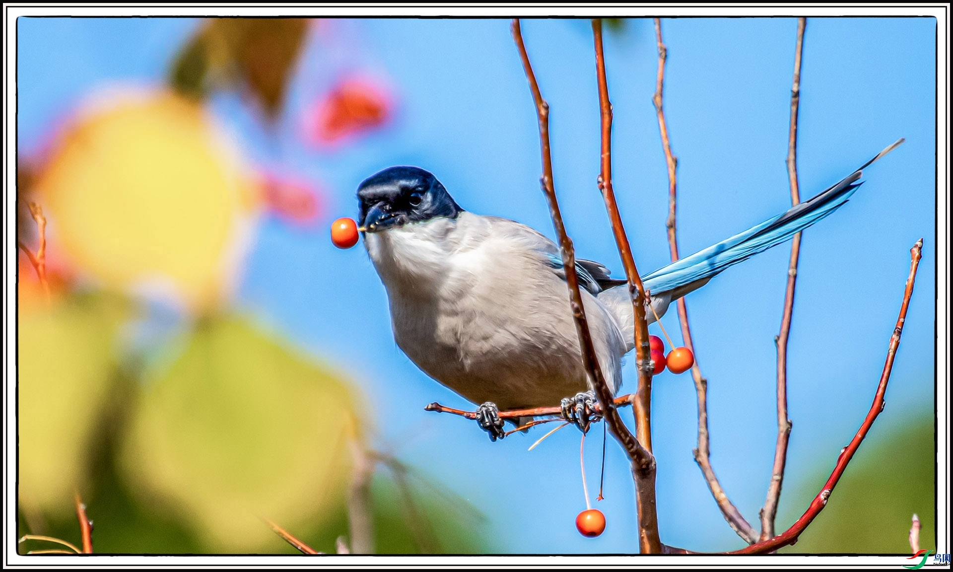 IMG_6705 ����.jpg