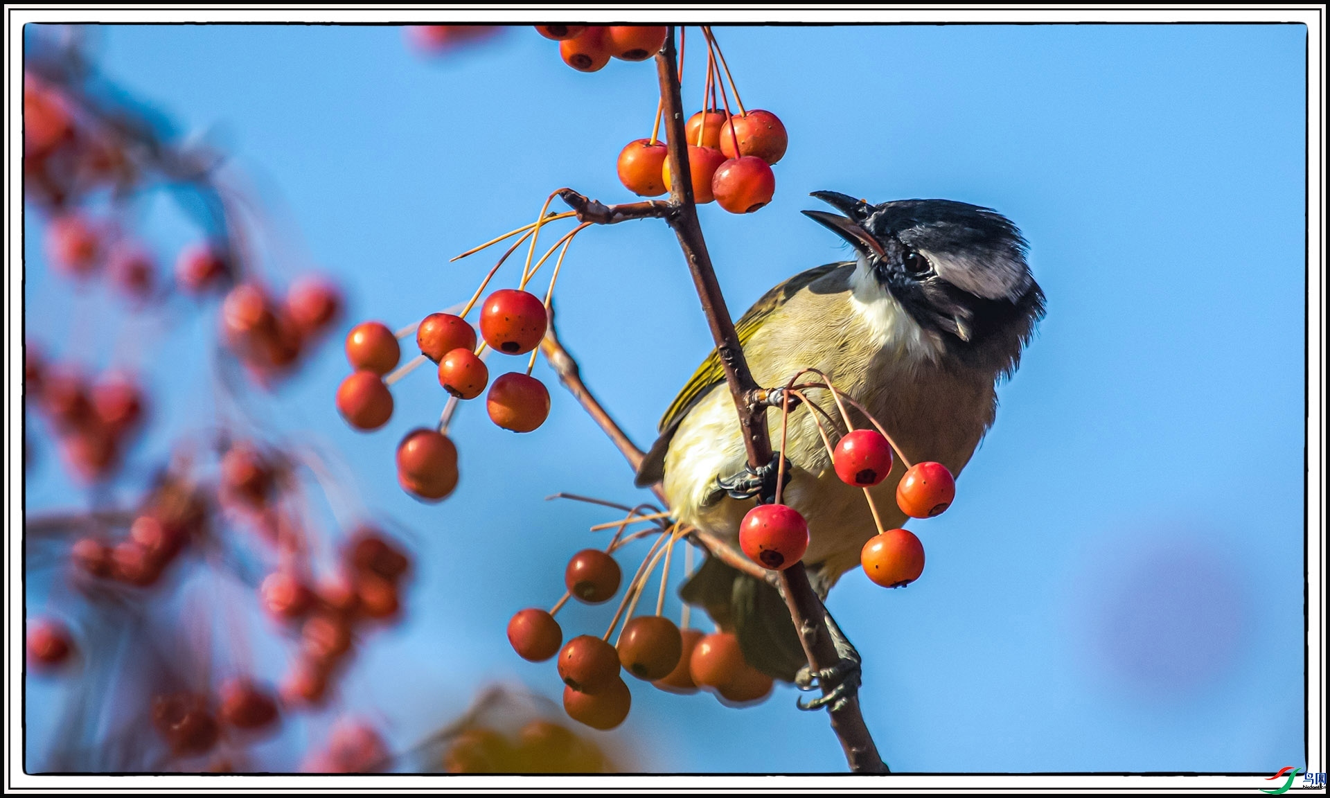 IMG_6965 ����.jpg