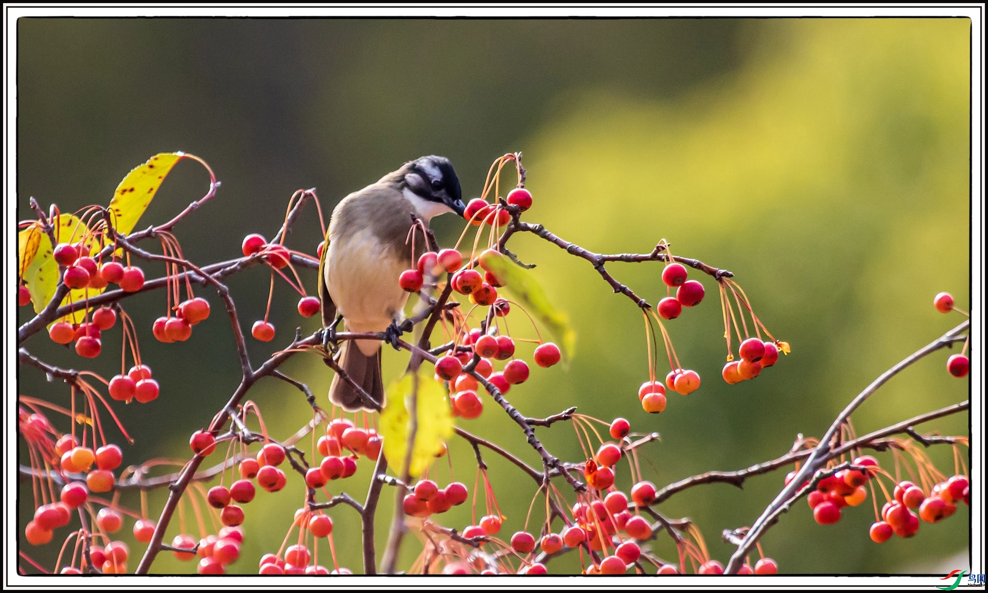 IMG_7521 ����.jpg