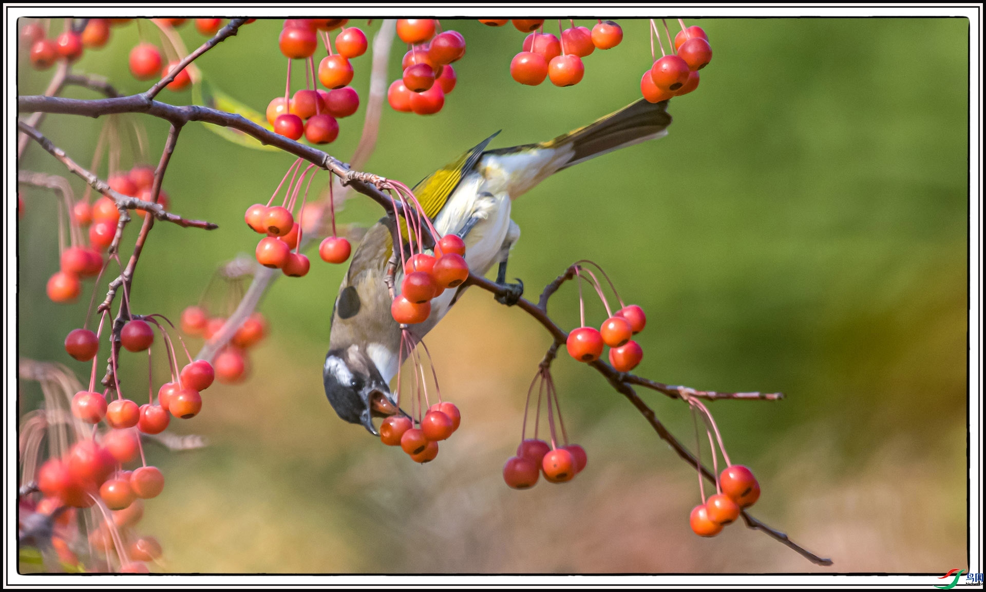 IMG_6761 ����.jpg