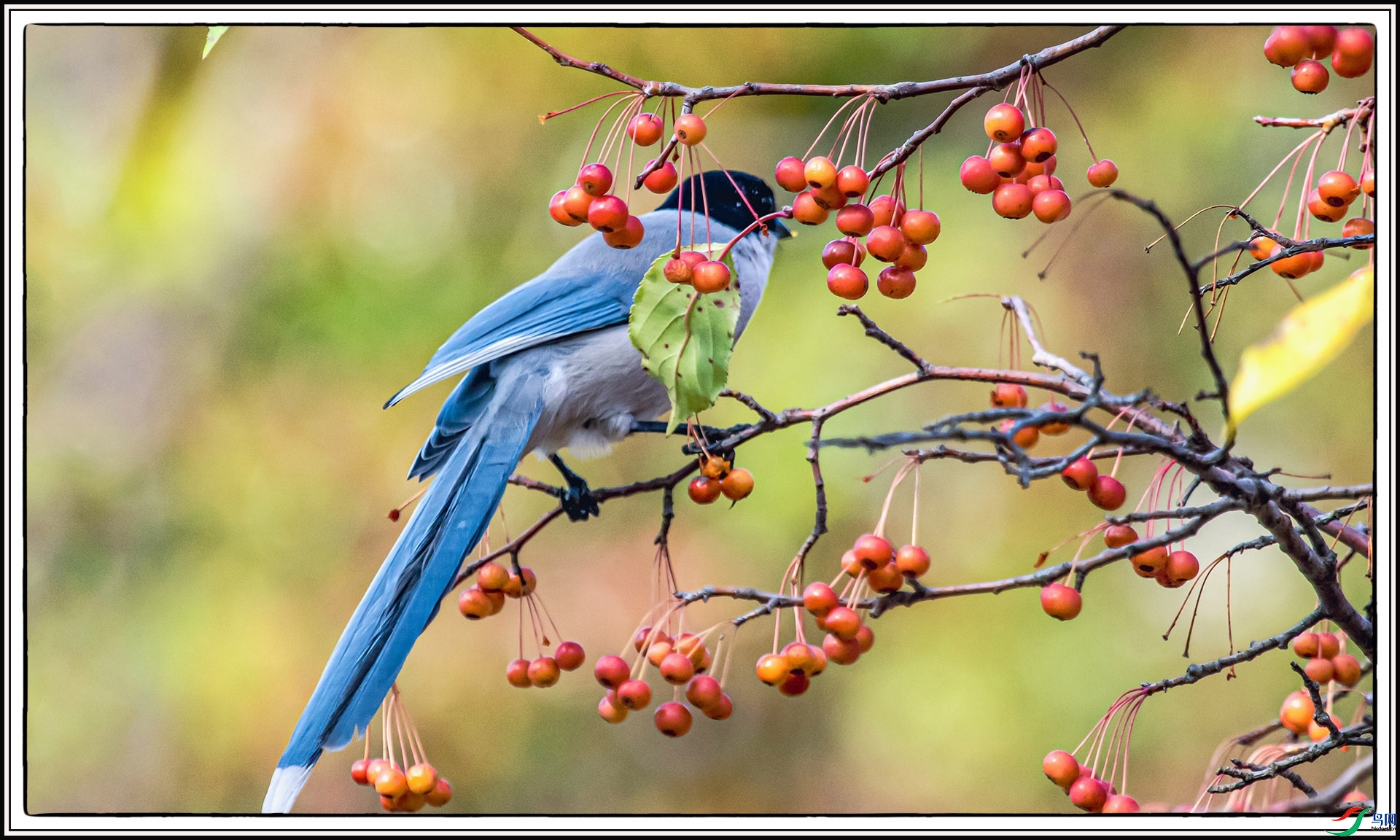 IMG_7284 ����.jpg